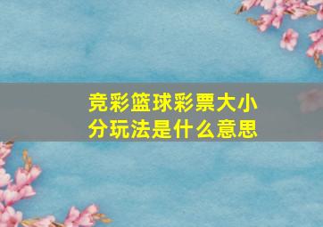 竞彩篮球彩票大小分玩法是什么意思