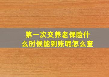 第一次交养老保险什么时候能到账呢怎么查