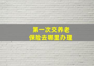 第一次交养老保险去哪里办理