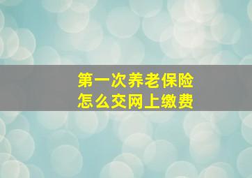 第一次养老保险怎么交网上缴费