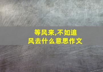 等风来,不如追风去什么意思作文