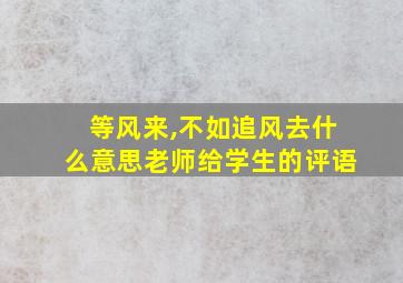 等风来,不如追风去什么意思老师给学生的评语