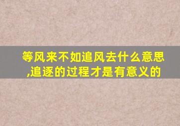 等风来不如追风去什么意思,追逐的过程才是有意义的