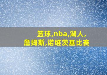 篮球,nba,湖人,詹姆斯,诺维茨基比赛