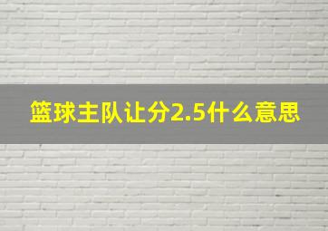 篮球主队让分2.5什么意思