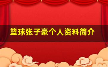 篮球张子豪个人资料简介