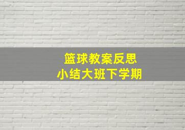 篮球教案反思小结大班下学期