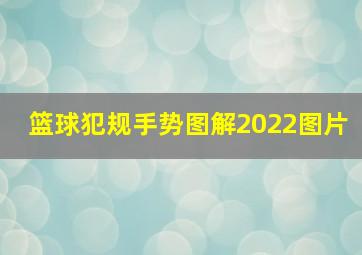 篮球犯规手势图解2022图片