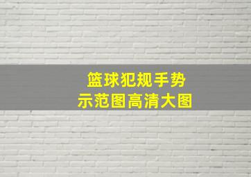 篮球犯规手势示范图高清大图