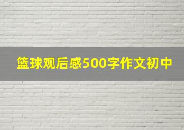 篮球观后感500字作文初中