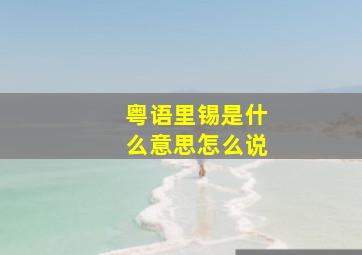 粤语里锡是什么意思怎么说