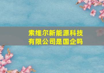 索维尔新能源科技有限公司是国企吗