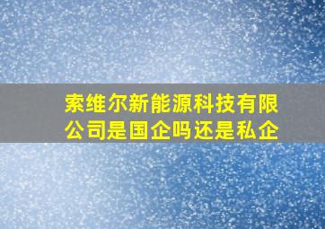 索维尔新能源科技有限公司是国企吗还是私企