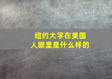 纽约大学在美国人眼里是什么样的