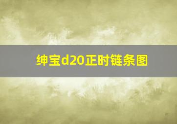 绅宝d20正时链条图