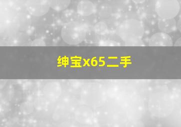 绅宝x65二手