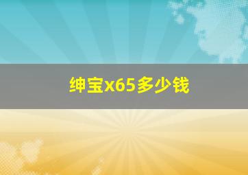 绅宝x65多少钱