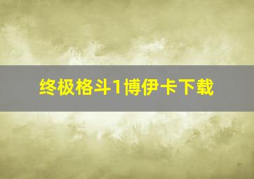 终极格斗1博伊卡下载