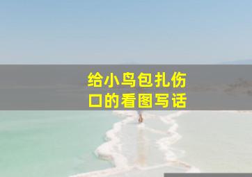 给小鸟包扎伤口的看图写话