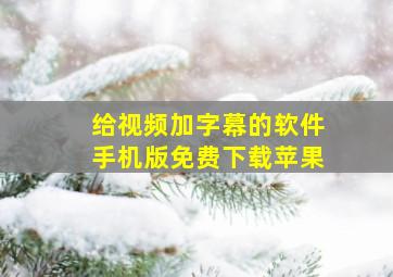 给视频加字幕的软件手机版免费下载苹果