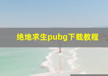 绝地求生pubg下载教程