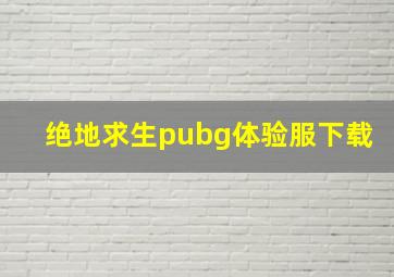 绝地求生pubg体验服下载