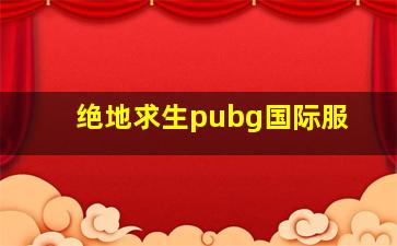 绝地求生pubg国际服