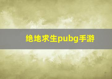 绝地求生pubg手游