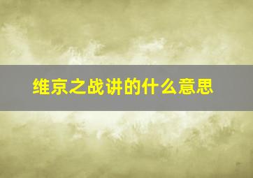 维京之战讲的什么意思