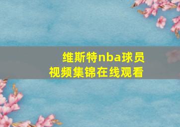 维斯特nba球员视频集锦在线观看