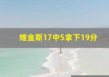 维金斯17中5拿下19分