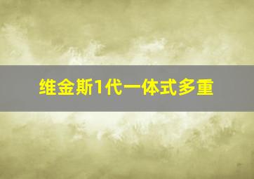 维金斯1代一体式多重