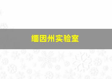 缅因州实验室