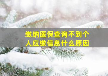 缴纳医保查询不到个人应缴信息什么原因