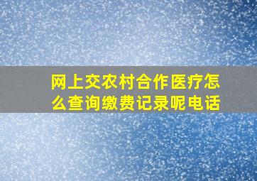 网上交农村合作医疗怎么查询缴费记录呢电话