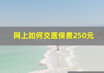 网上如何交医保费250元