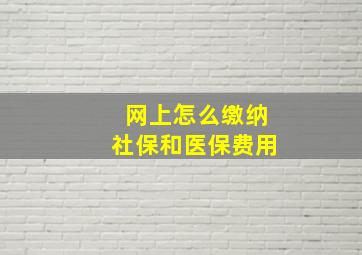 网上怎么缴纳社保和医保费用