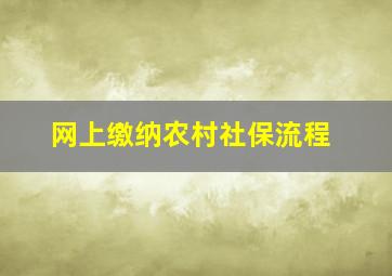 网上缴纳农村社保流程