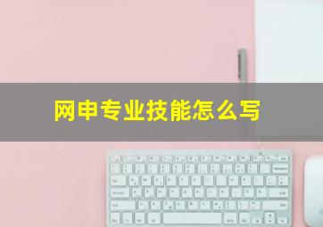 网申专业技能怎么写