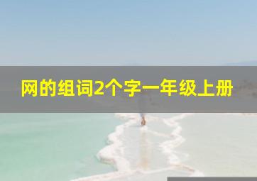 网的组词2个字一年级上册