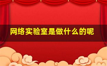 网络实验室是做什么的呢