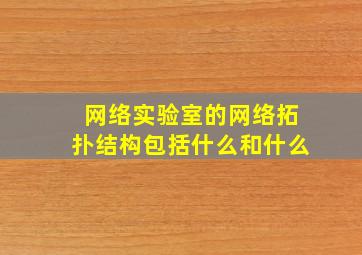 网络实验室的网络拓扑结构包括什么和什么