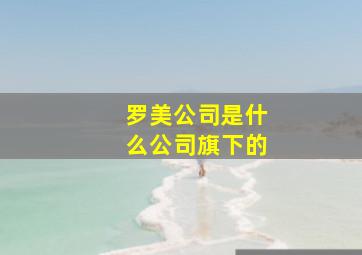 罗美公司是什么公司旗下的