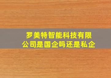 罗美特智能科技有限公司是国企吗还是私企