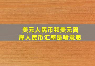 美元人民币和美元离岸人民币汇率是啥意思