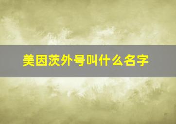 美因茨外号叫什么名字