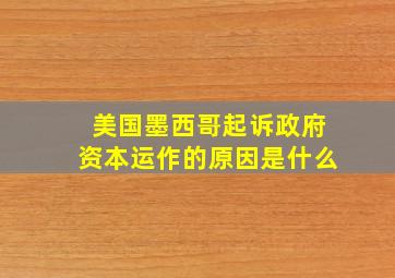 美国墨西哥起诉政府资本运作的原因是什么