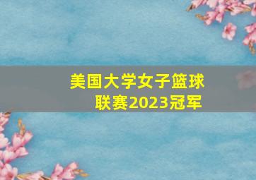 美国大学女子篮球联赛2023冠军