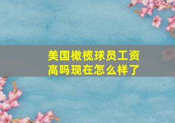 美国橄榄球员工资高吗现在怎么样了