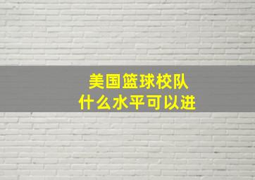 美国篮球校队什么水平可以进